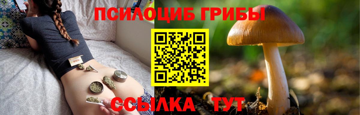 Соликамск  продажа наркотиков  Вход с VPN  Псилоцибиновые грибы ЛСД 